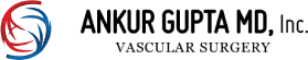 Ankur Gupta, Inc.