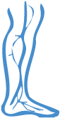 Vein Services